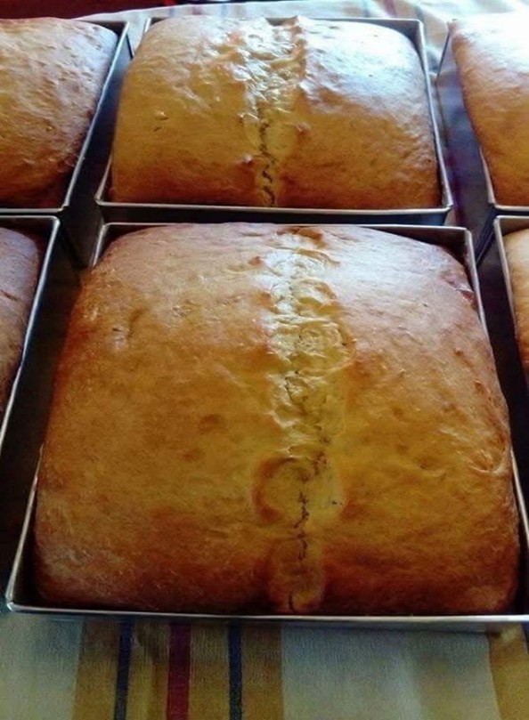 Massa Sovada